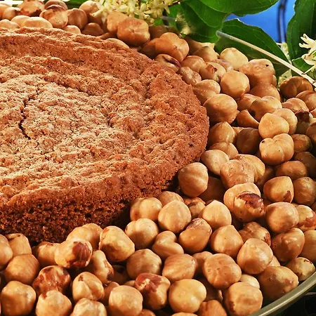 Farm stay Cascina Alberta Winery & - *