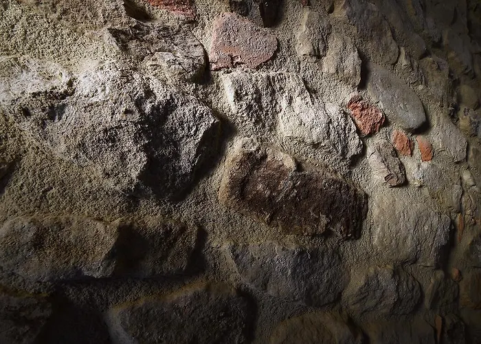 Cascina Alberta Winery & - Bauernhof *