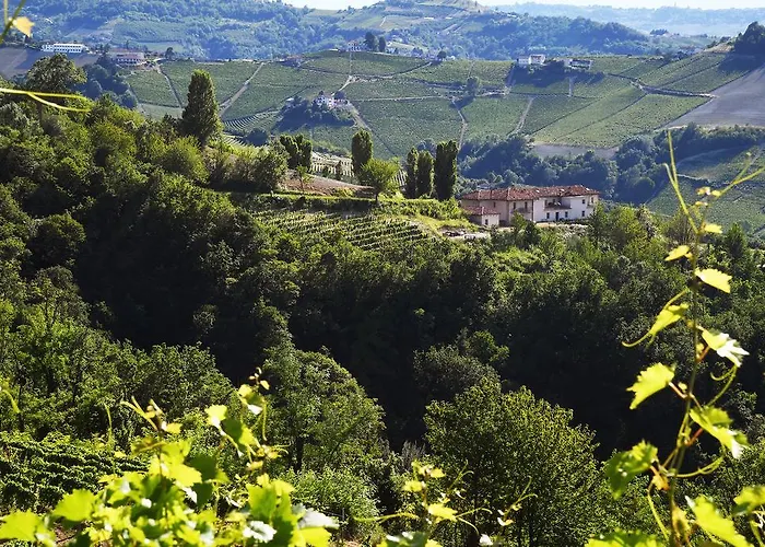 Gospodarstwo agroturystyczne Cascina Alberta Winery & - *